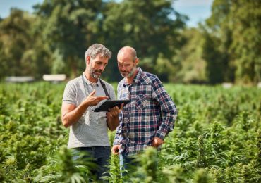 AI in the fields: Copilot powers smarter farming