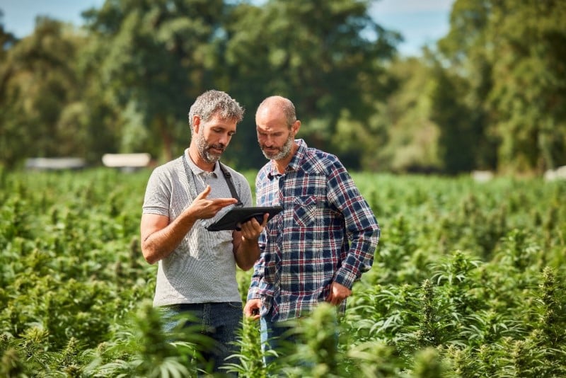 AI in the fields: Copilot powers smarter farming